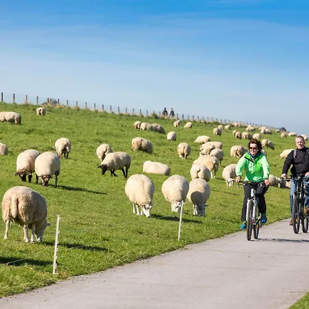 Appartement Jolle Im Schiffehaus Schillig